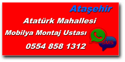 Atatürk Mahallesi Mobilya Montaj Ustası