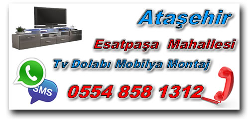 Esatpaşa Mahallesi TV Ünitesi Mobilya Montaj - TV Dolabı Mobilya Montaj