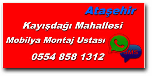 Kayışdağı Mahallesi Mobilya Montaj Ustası