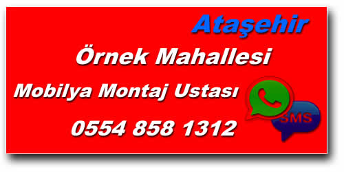 Örnek Mahallesi Mobilya Montaj Ustası