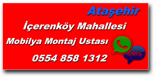 İçerenköy Mahallesi Mobilya Montaj Ustası